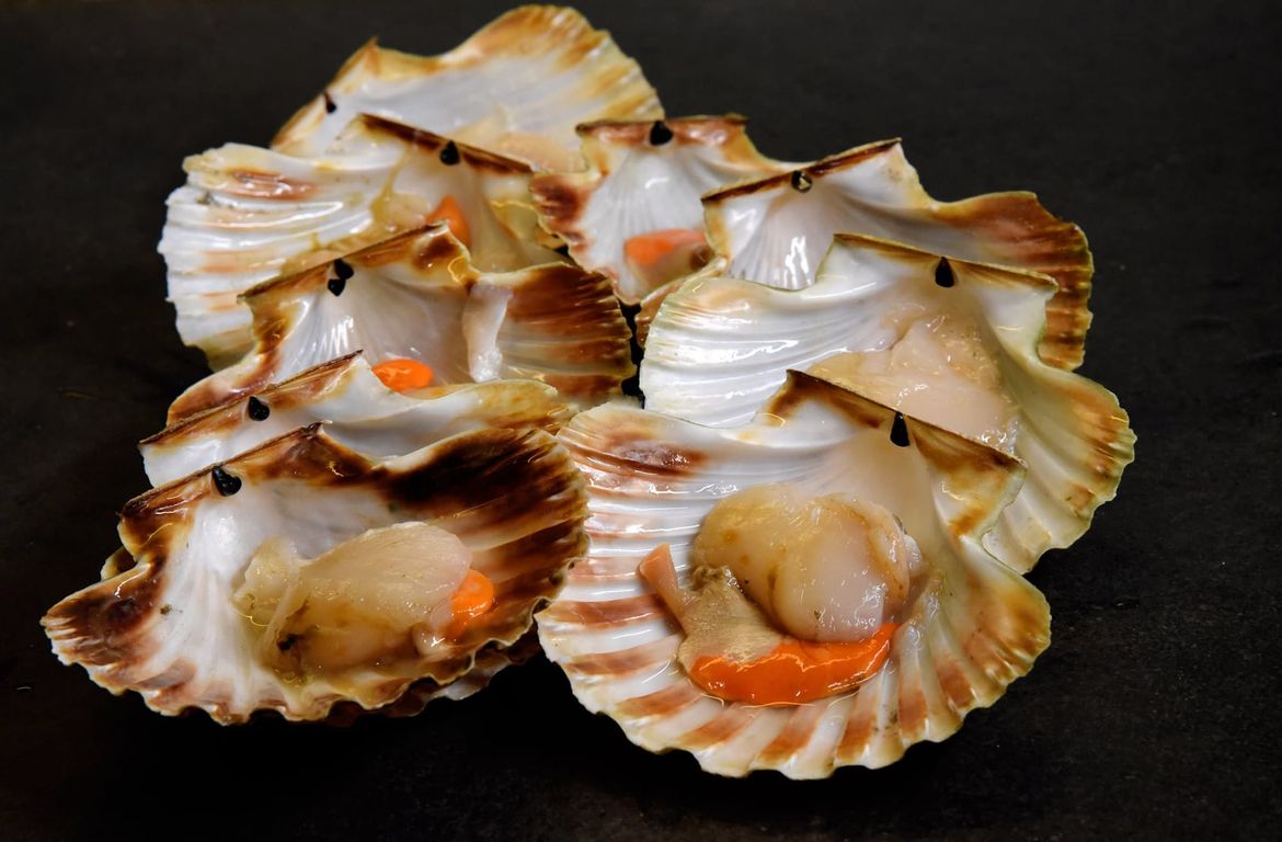 ZEMLJA GURMANIJA Jakobova kapica, Cappesante, San Žak ili Sveti Jakov - sveta školjka za prste polizati kojih je nekad u moru bilo puno!