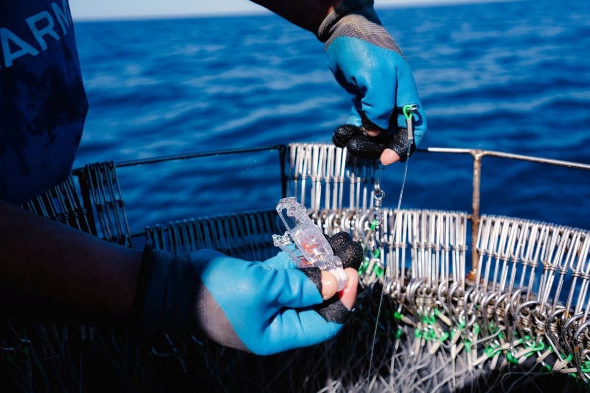 Za plutajući parangal ove godine autorizirano samo 9 plovila