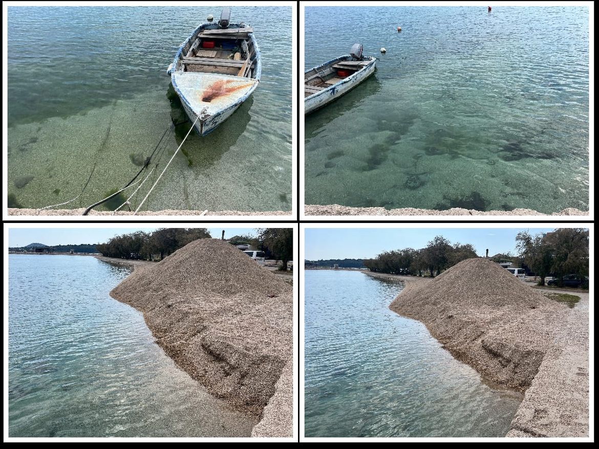 Slike iz Srime govore i previše: "Dohrana plaže ili uništavanje života u moru?"