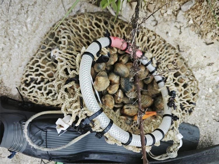 ZATEČEN KAKO VADI DONDOLE IZ MORA Krivolovcu iz Istre prijeti kazna do 6.630 eura, a oduzeta mu je i oprema!