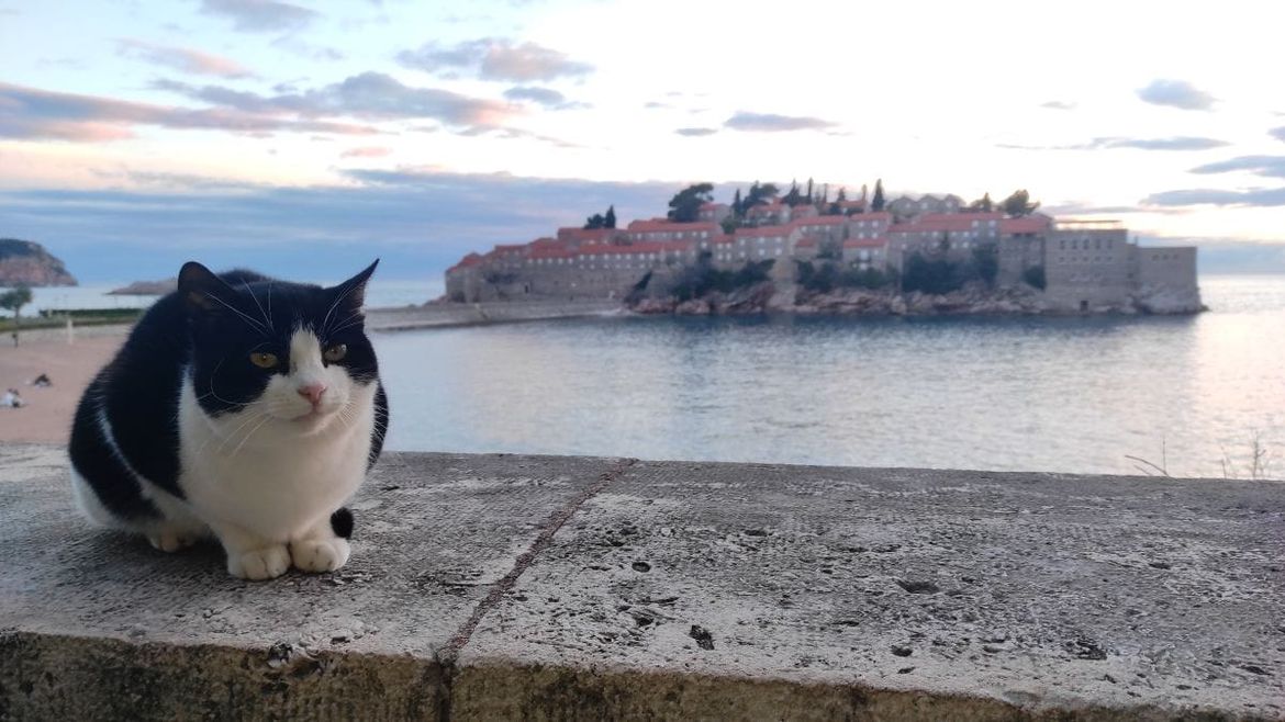U Crnoj Gori ozbiljno razmišljaju skratiti radno vrijeme na sedam sati