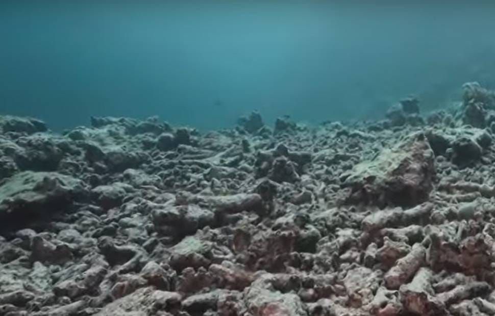 Po svjetski poznatom koraljnom grebenu širi se znak smrti: "Nije mrtav, ali je ozbiljno bolestan!"