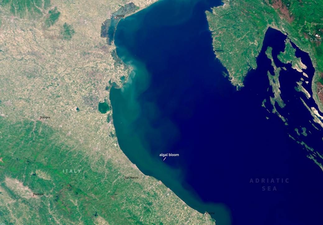 DIVLJE CVJETANJE ALGI U JADRANU Satelitske slike iz svemira otkrivaju zabrinjavajući trend!