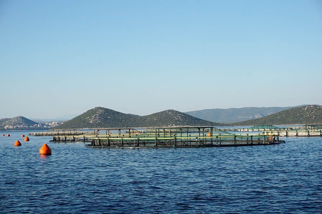 Zbog klimatskih promjena bit će potrebno sve više inovacija u poljoprivredi i akvakulturi