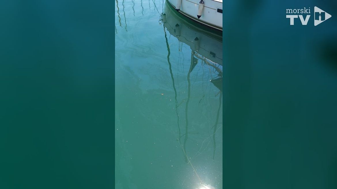 VIDEO - Nafta pluta na površini mora uz splitsku Zapadnu obalu: "Sve vonja..."