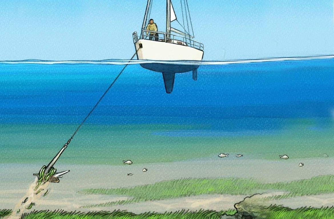 A DI SE TI SIDRIŠ? Međunarodni je dan bioraznolikosti i Dan zaštite prirode u Hrvatskoj