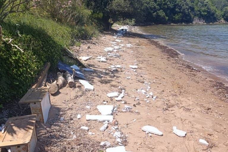 SMEĆE POSVUDA Ovako izgleda plaža u Kukljici na Ugljanu!