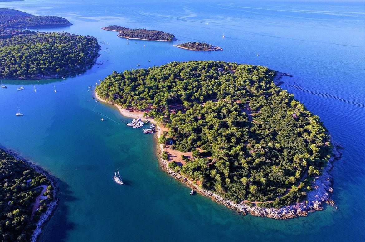 Svjetski je dan zaštite okoliša! Zelena akcija: "Gorući problem je plastika!"