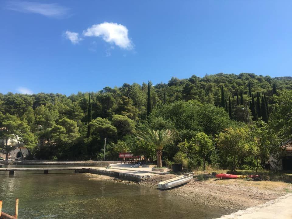 GOVNA U STONU Želite li sebi dobro, ne kupajte se ovdje!