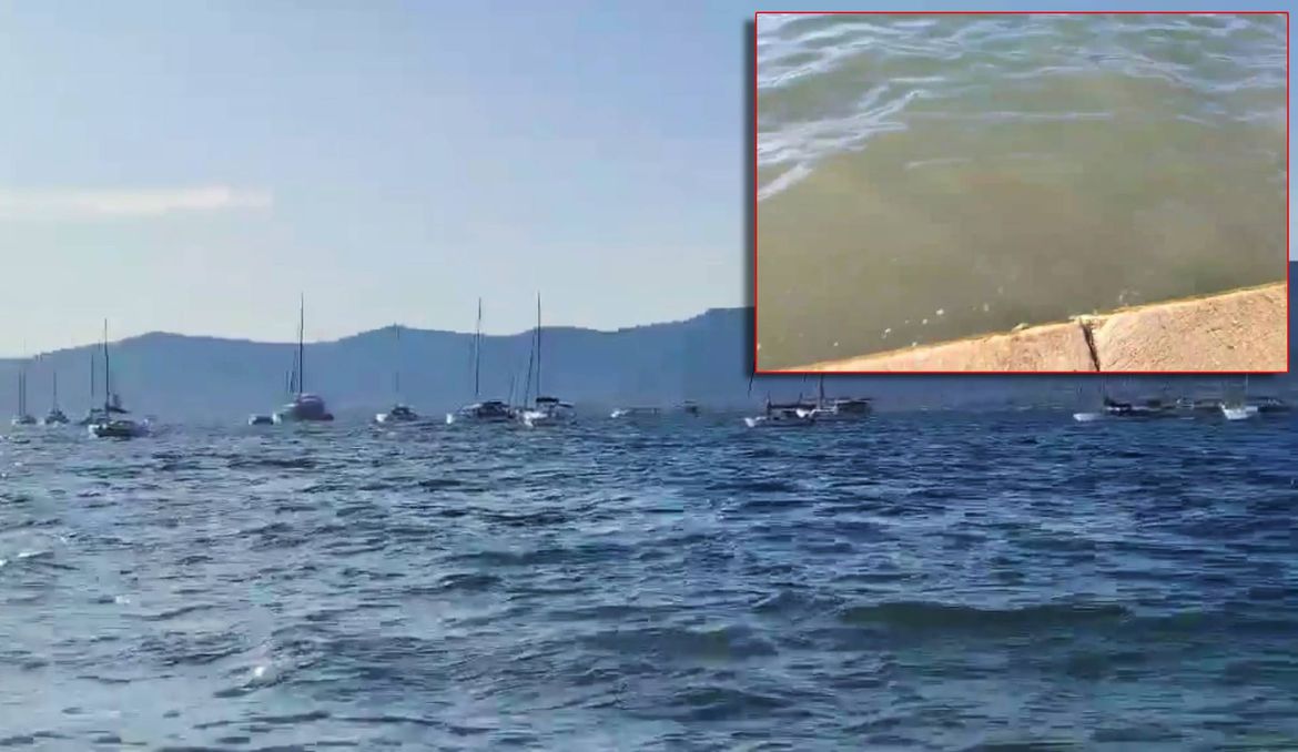 Fekalije plivaju po splitskoj lučici - Evo kome prijaviti ako sumnjate na ispuštanje brodskih tankova!
