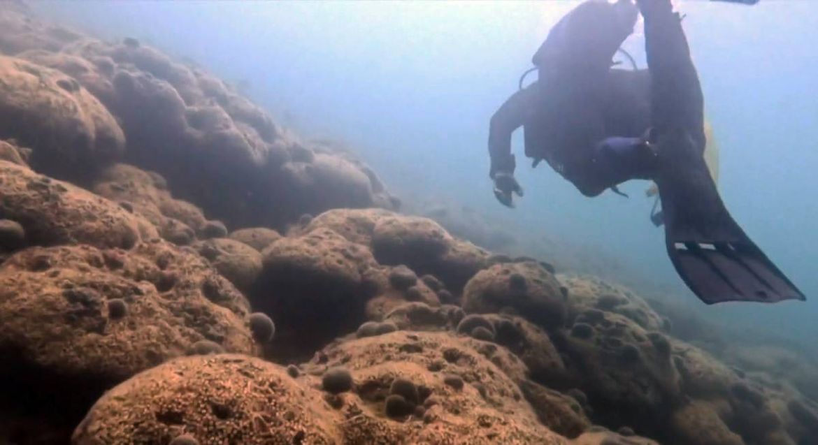ŽRTVA KLIMATSKIH PROMJENA Umire najveći koraljni greben na Sredozemlju, onaj u Velikom mljetskom jezeru
