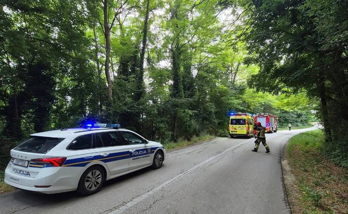 STRAŠNA TRAGEDIJA U ISTRI Stablo palo na dijete i usmrtilo ga!