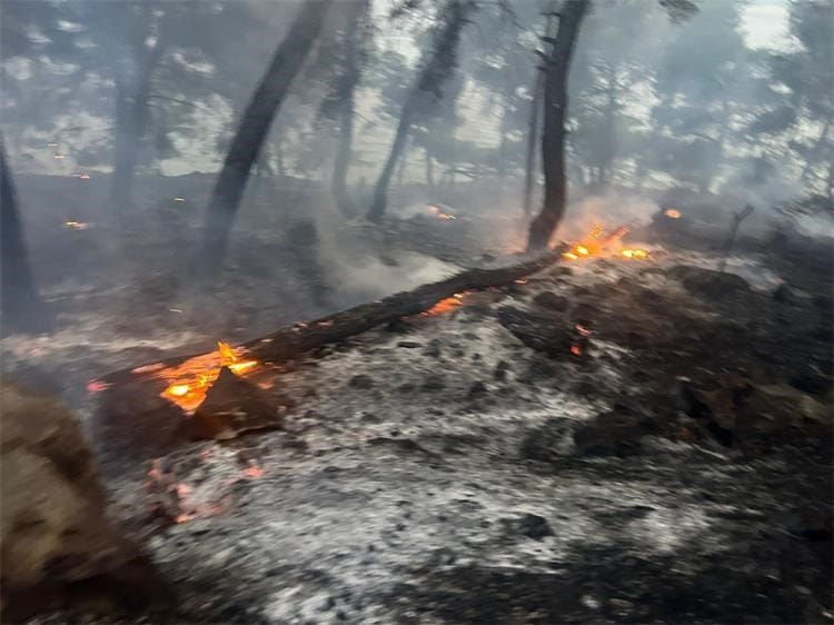 Još nije lokaliziran požar na Braču, planula četiri požara i u Zadarskoj županiji