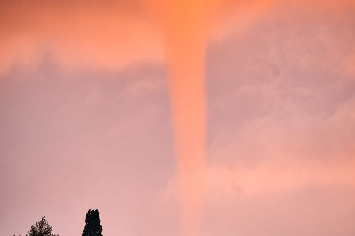 Fotogenična pijavica u Dubrovniku