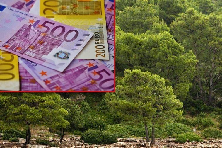 Šef iz Hrvatskih šuma slomio se u USKOK-u: "Priznajem, uzeo sam 20 tisuća eura mita"