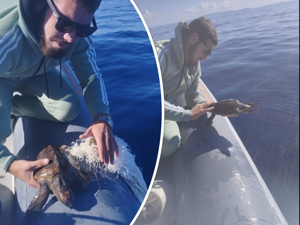 FOTO/VIDEO Pogledajte kako je nautičar iz Komiže spasio malu kornjaču iz plutajuće mreže