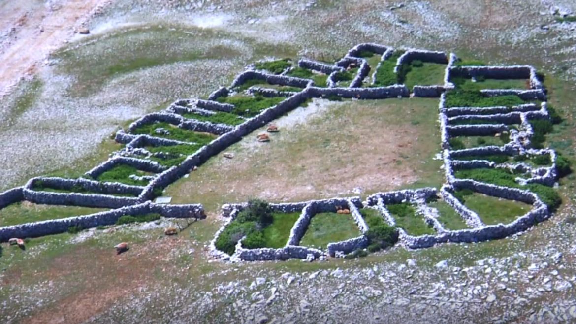 MRGARI ILI MOŠUNE Pastirska čuda koja čine zapanjujuću vizuru Baške!