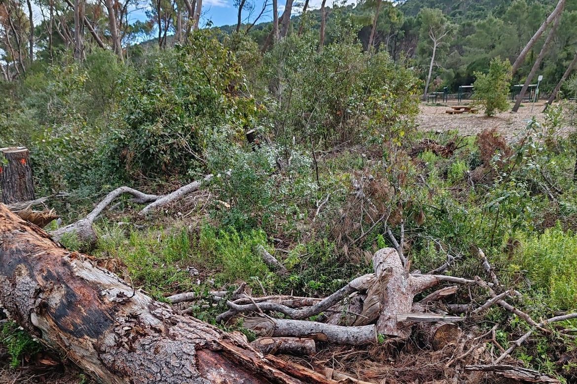 Park - šuma Marjan ponovno se otvara za građane