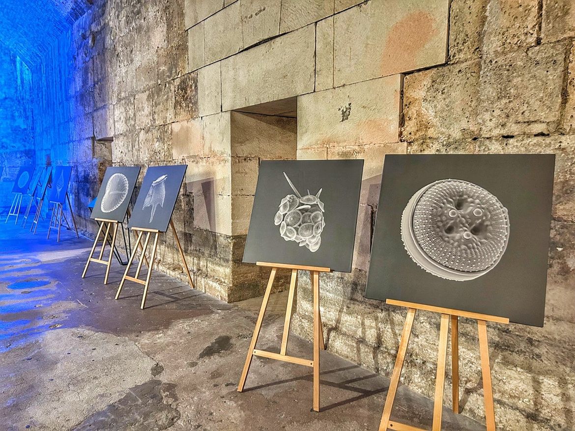 SPLIT "Znanost je došla u grad" - fantastičan događaj u Dioklecijanovoj palači još stignete "uloviti"