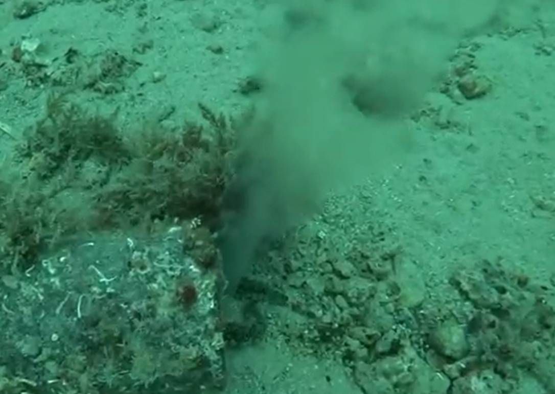 MO Čelina Stanići: "Prošlo se ljeto u blizini omiškog beach resorta kanalizacija ispuštala u more - što je učinjeno po ovom pitanju, čeka li nas isti scenarij i ovog ljeta?"