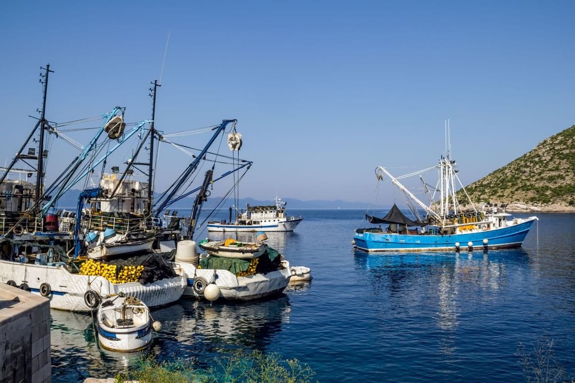 Ogorčeni ribari: "Nove zabrane za plivarice će nas uništiti" - Institut za ribarstvo: "Stok srdele u Jadranu trenutno je izuzetno ugrožen, ali mi ne odlučujemo..."