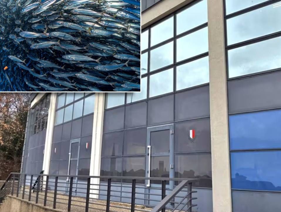 Obnavljat će se nekadašnja Veletržnice ribe u Poreču