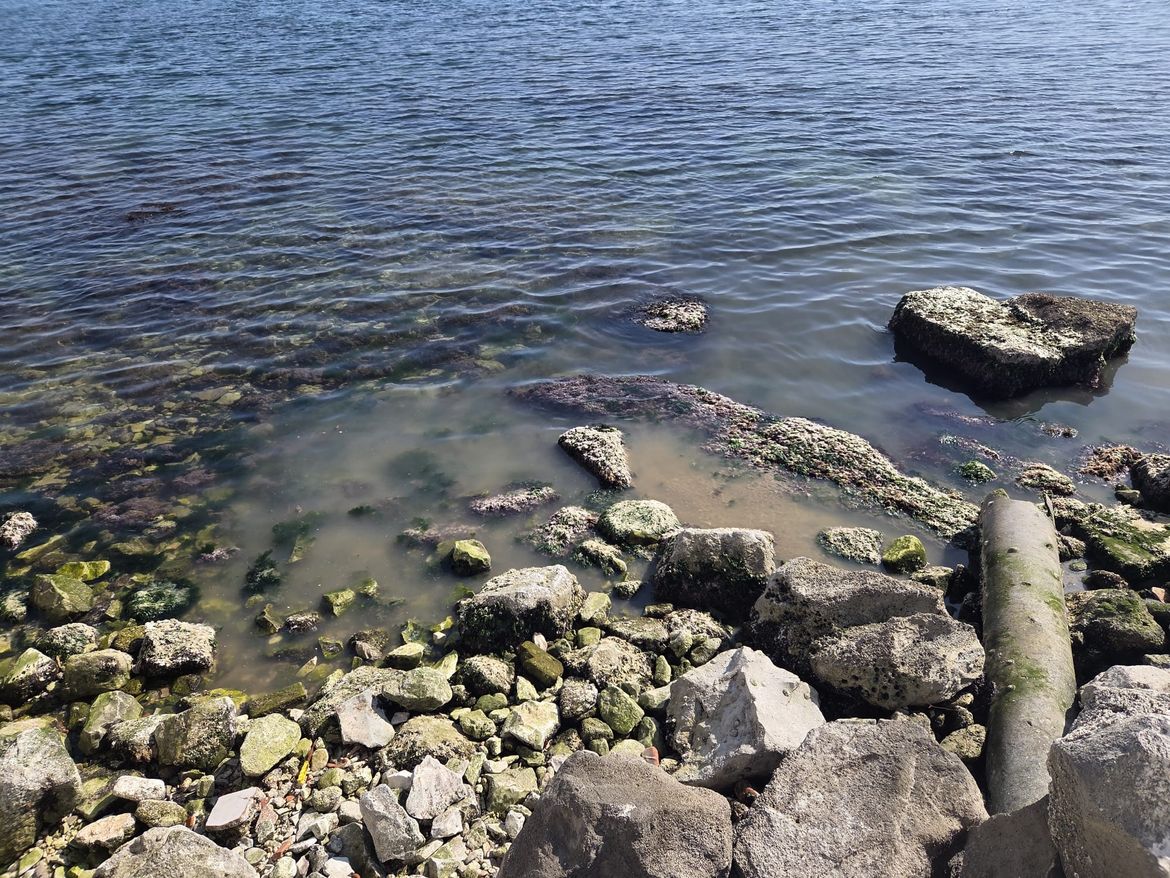 JADRAN NA ČEKANJU Dok turizam cvjeta, trećina ispusta i dalje bljuje sirovu kanalizaciju u more - Imamo najnižu stopu pročišćavanja voda u EU!