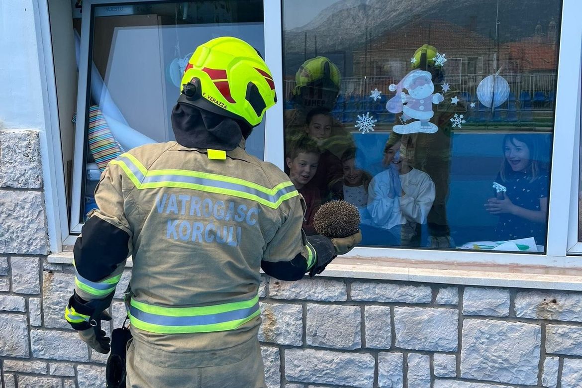 Vatrogasci na Korčuli spasili ježa: "Kad najjači brinu o najmanjima"