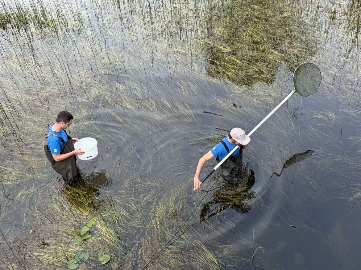 FOTO Krka i Čikola pod zaštitom: Uklanjaju se prijetnje autohtonim vrstama