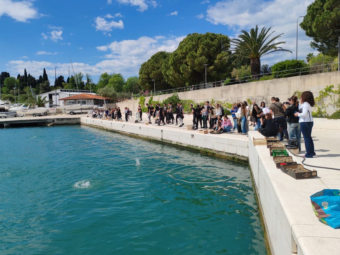 BIO kugle i ovi mladi ljudi budućnost su sretnijeg Jadrana: Učenici obilježili Dan planeta Zemlje konkretnim djelom