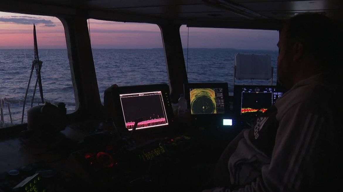 TRIDESET GODINA NA MORU, A OVAKO NIJE BILO: "Ribe jednostavno nema, predatori je rastjeraju"