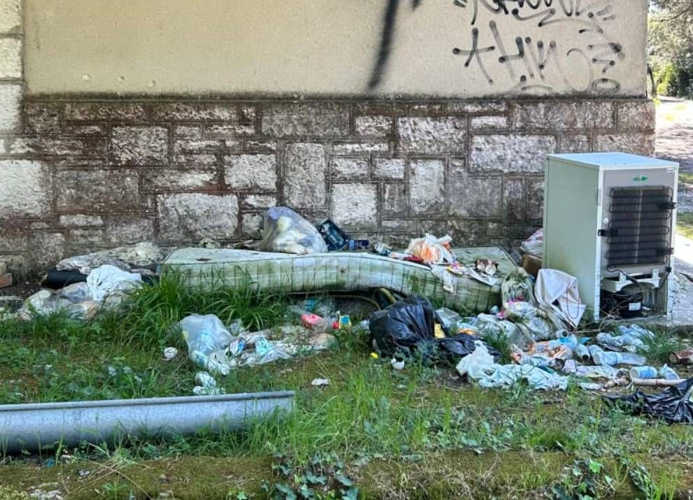 Akcija čišćenja šumskog i obalnog djela Štinjana