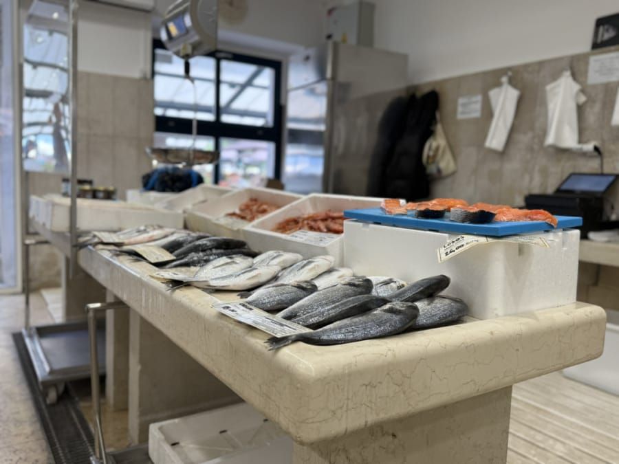 Na rovinjskoj ribarnici ovih ćete dana teže pronaći plavu ribu