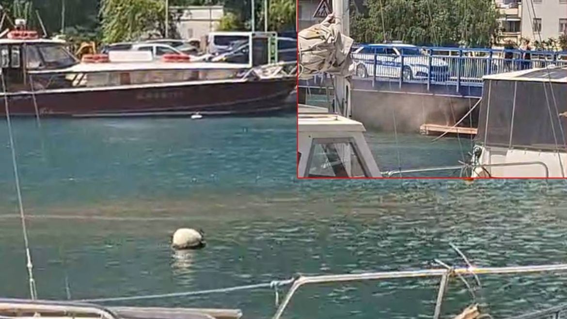 VIDEO Prizori iz Omiša šokirali prolaznike: "Cetina pocrvenila, pogledajte što se događa na starom mostu!"