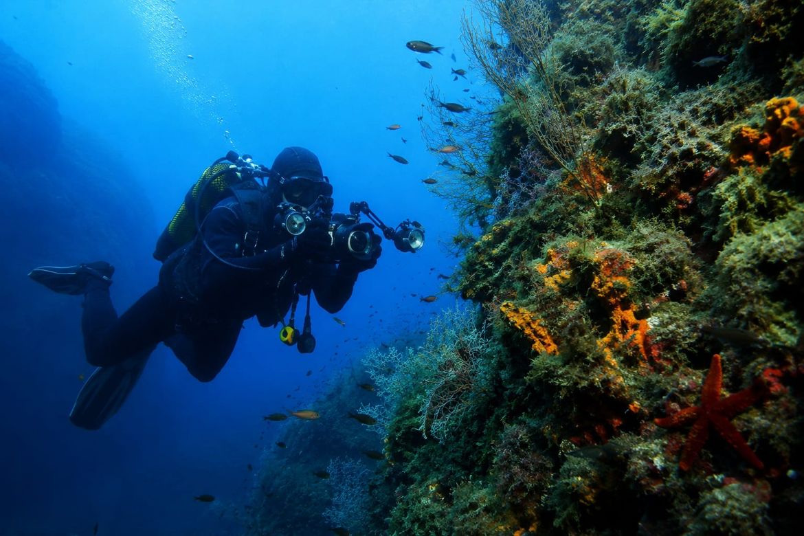 Čudesno podmorje Visa pod reflektorima: Najbolji svjetski fotografi zaronit će u prvu strogo zaštićenu zonu na Jadranu