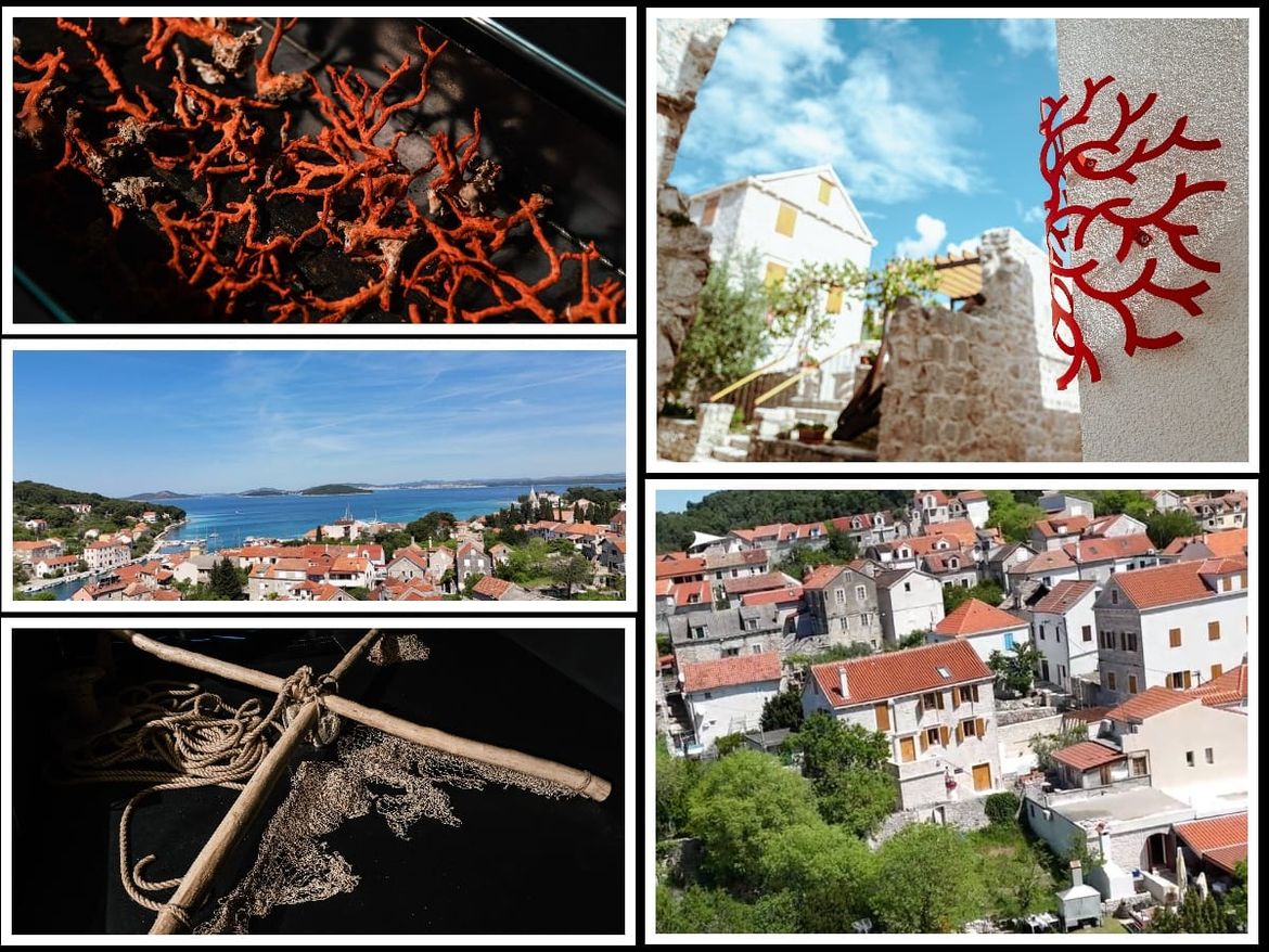 OTOK KORALJA KOJI KORALJE - NEMA! Nevjerojatna priča o skrivenom dragulju šibenskog arhipelaga