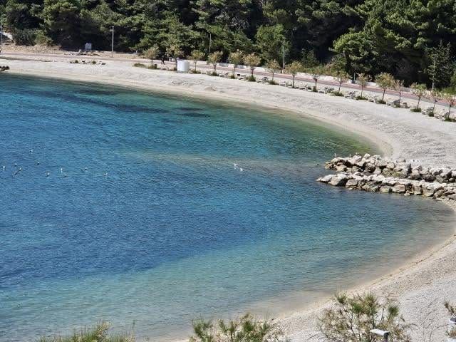 PROZIVKA IZ SPLITA: „Direktore, zašto šutite? Građani 40 dana čekaju istinu o kvaliteti mora!“