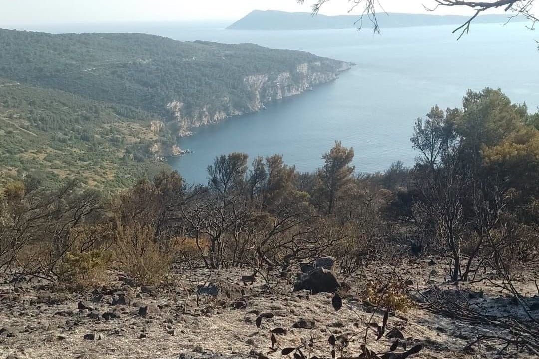 Veliki požar na Visu pod kontrolom: "Dežura se na požarištu"