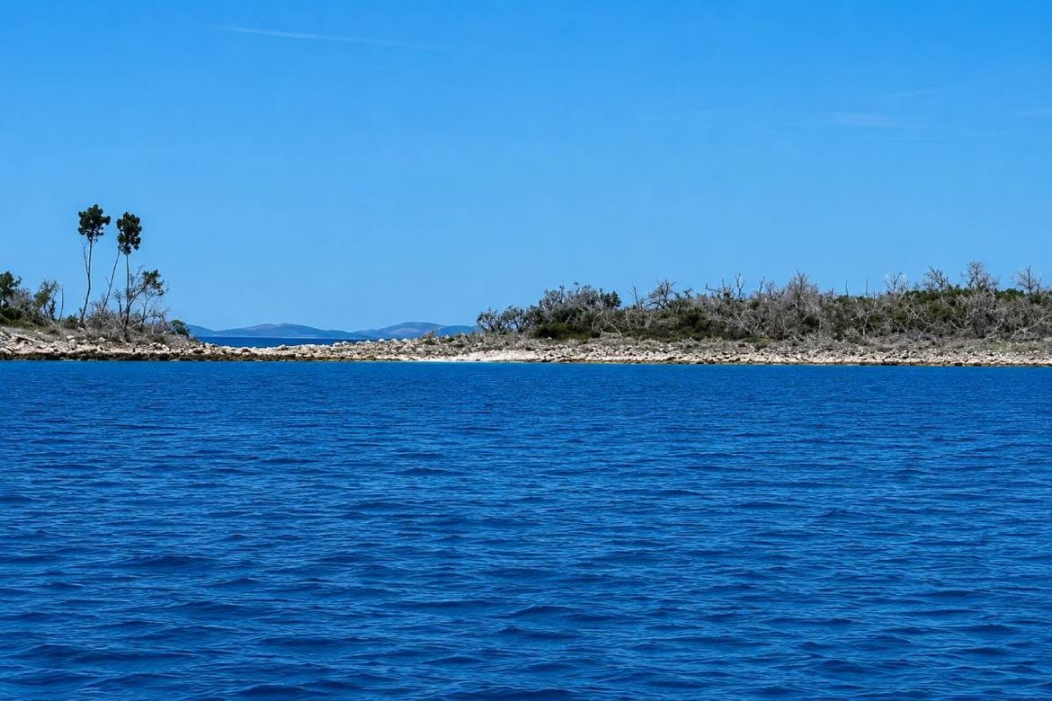 EKOCID ILI KLIMATSKA KATASTROFA? Doznali smo zašto se suše čitave šume na šibenskim otočićima - Šumarija: "Nemamo ovlasti!"