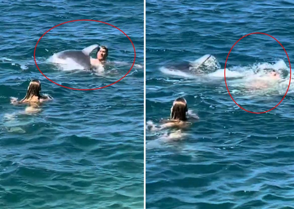 VIDEO Igra koja je umalo završila kobno: Poznati dupin Oliver zakačio i nakratko potopio muškarca koji mu se približio, stručnjaci ponovno apeliraju na kupače!