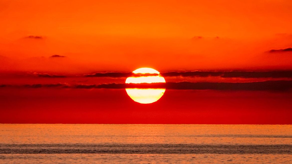 Sovjetski znanstvenici u more preselili ogromne rakove, uslijedio je kaos!