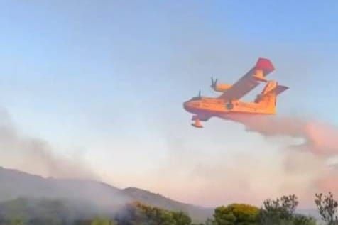 Požar na Vrgadi, gori šest hektara šume, borba s vatrom traje!