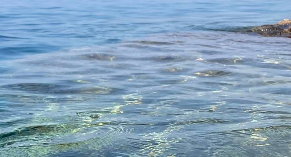 Fekalije u moru na plaži u Orebiću: "Ne kupajte se!"