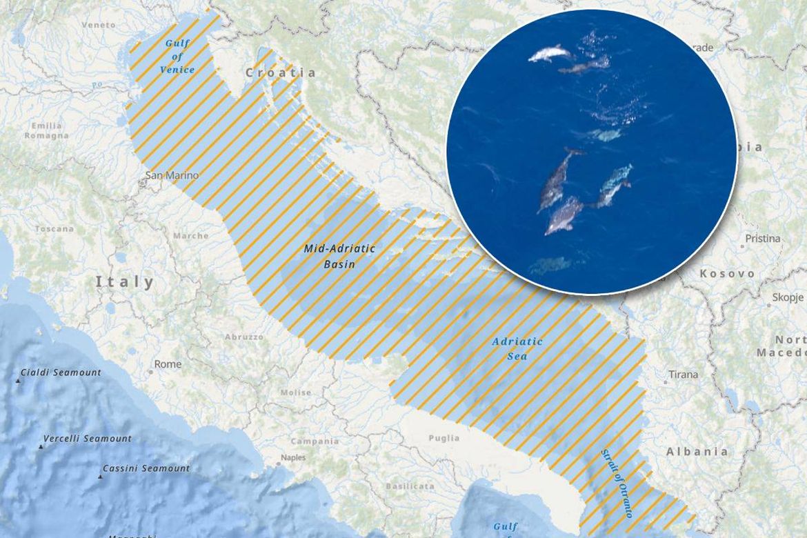 JADRAN POD POVEĆALOM Počelo veliko brojanje kitova i dupina iz zraka, evo što se događa na našem moru