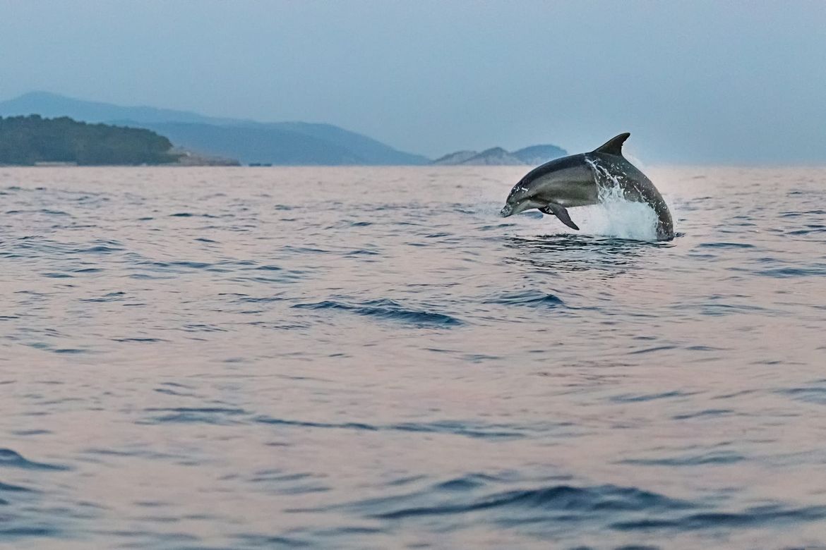 EKOLOGIJA Ako ne znate što sve pritišće Jadran onda ovo morate znati!