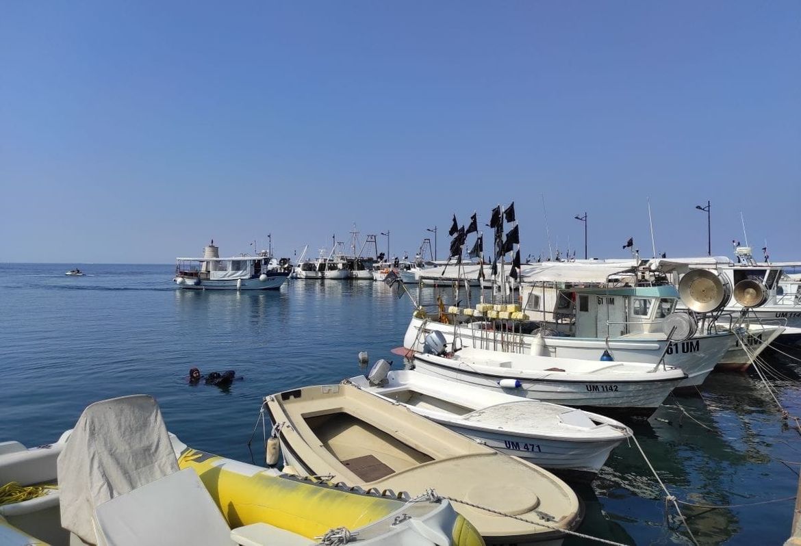 RIBAR, PLOVILO, BROD I BRODICA Zašto Ministarstvo ne zna čime naši ribari plove?
