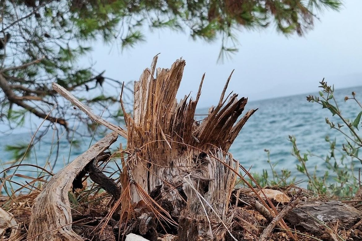 ZADAR/KOŽINO Vijećnik i poznati liječnik oštro po gradskoj vlasti: "Tereni iznad obale koju uništavate pripadaju HDZ - ovki protiv koje je podignuta optužnica za izvlačenje novca iz proračuna"