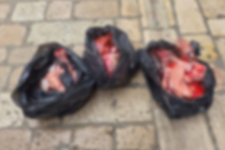 Tri vrećice s kostima i sirovim mesom bačene u centru Zadra: "Poluotok nije klaonica"