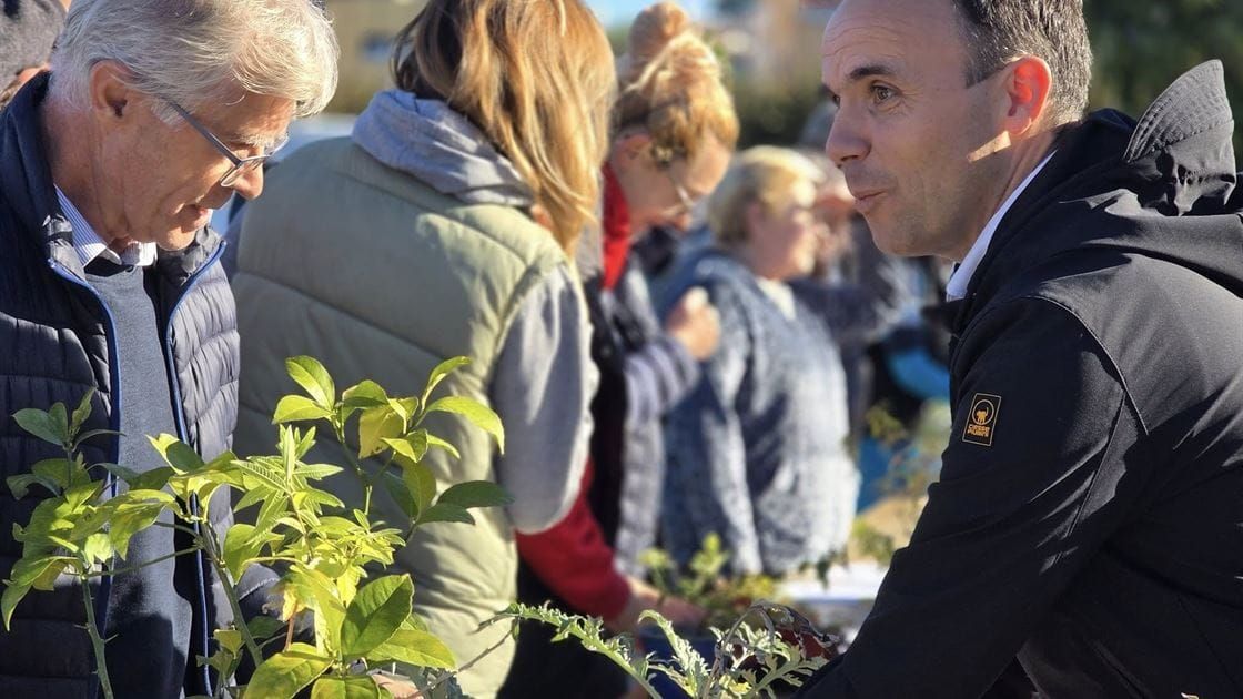 Poreč u pet godina obogatio zelenilo s gotovo 7 tisuća stabala i sadnica