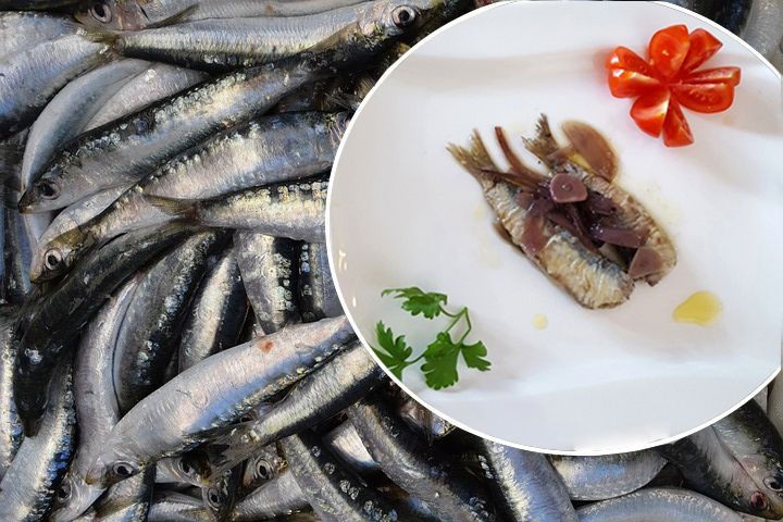 Njeno veličanstvo – Srdela